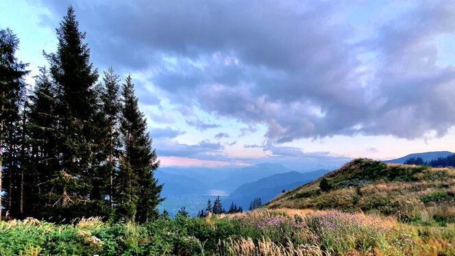 Der Pinzgau im Frühling Blick über den Pinzgau im Frühling. Der Ausblick über das Tal in die Ferne während links einige Nadelbäume zu sehen sind und farbige Wolkenspiele am Himmel zu sehen sind.