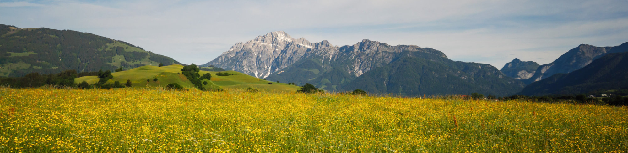 Alpenpanorama Frühling