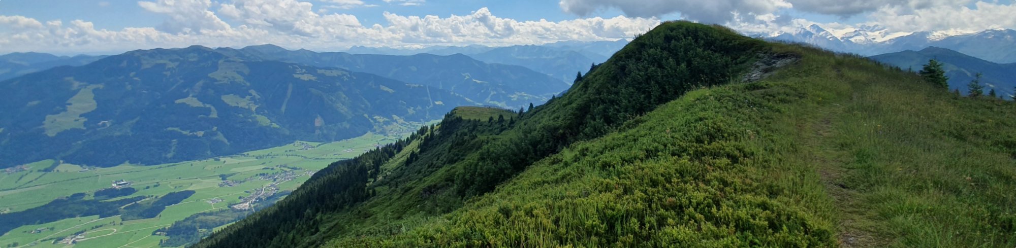Alpenkulisse im Sommer